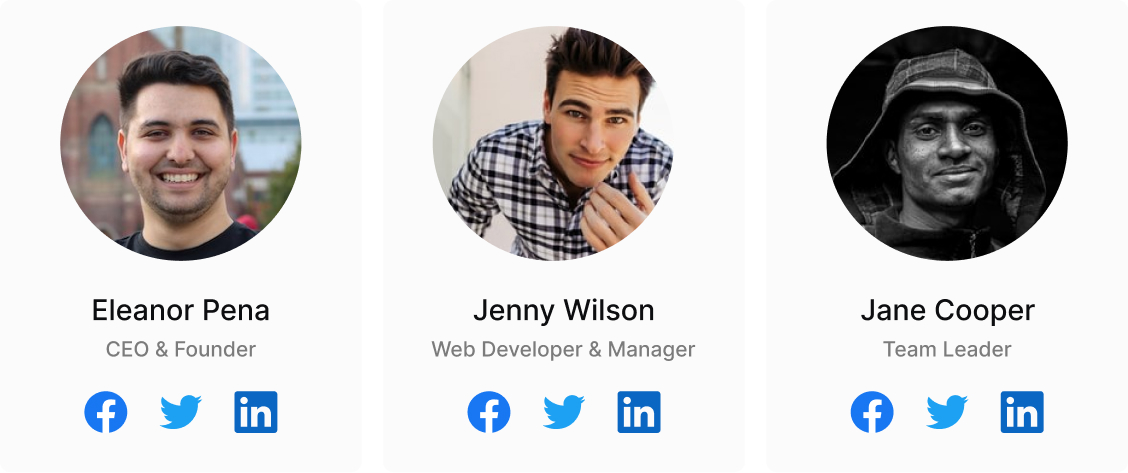 divi-team divi team